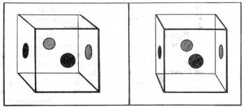 Fig. 122.  Un cubo de vidrio con manchas, visto por el ojo izquierdo y por el derecho.