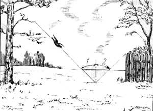 Fig.104.  Soluci&oacute;n del problema de la corneja.