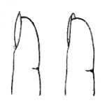 Fig. 120.  Un dedo, colocado a poca distancia de la cara, seg&uacute;n lo perciben el ojo izquierdo y el derecho respectivamente.