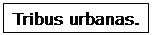 Cuadro de texto: Tribus urbanas.